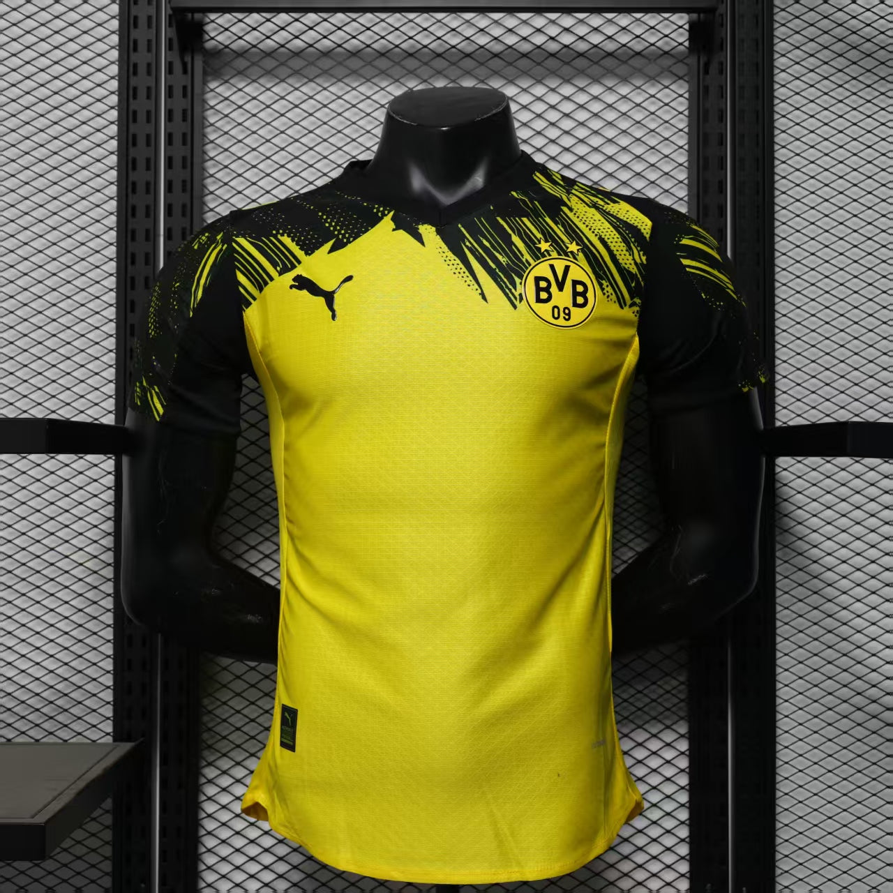 Dortmund 25/26 - Versione Giocatore