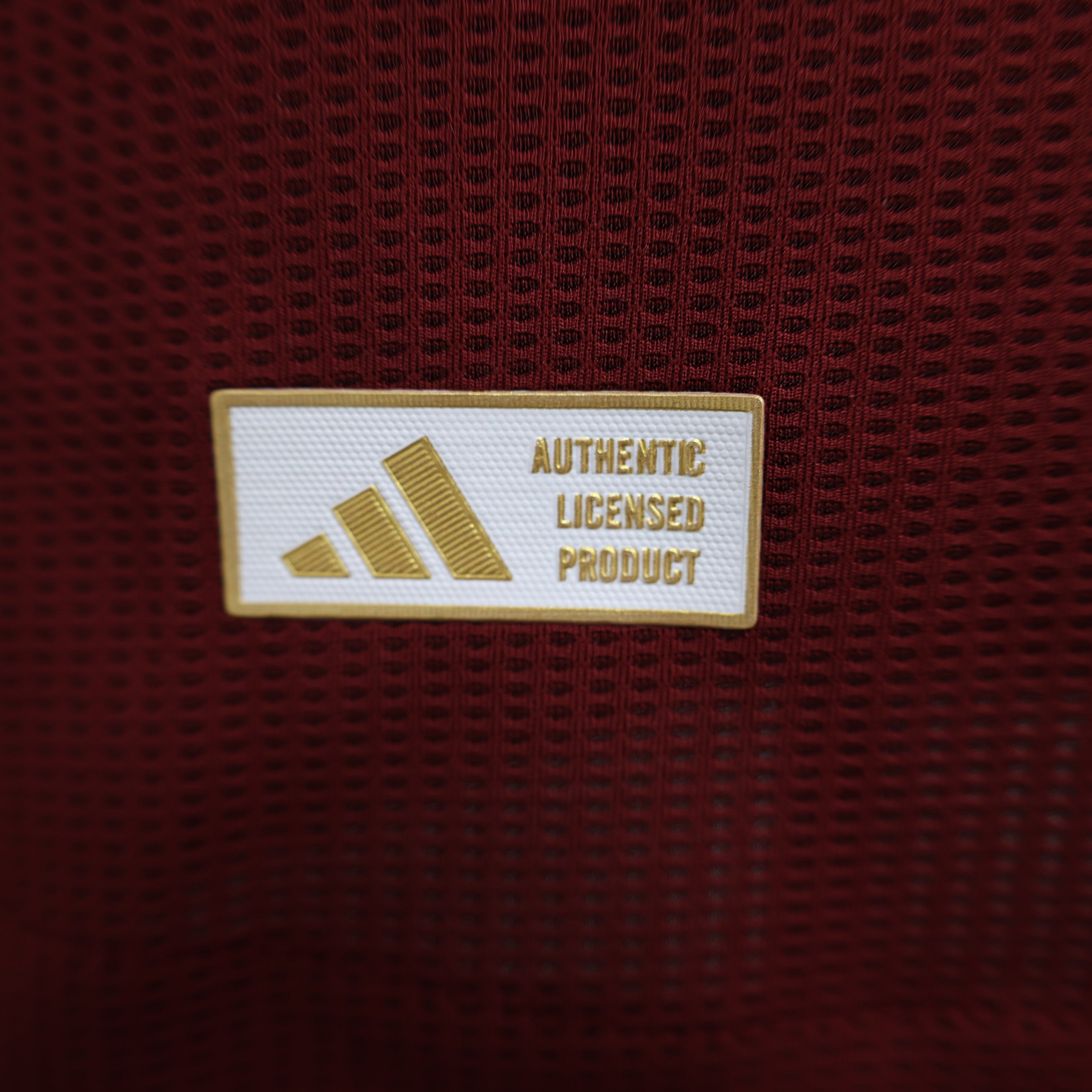 Aston Villa Casa 24/25 - Versione Giocatore
