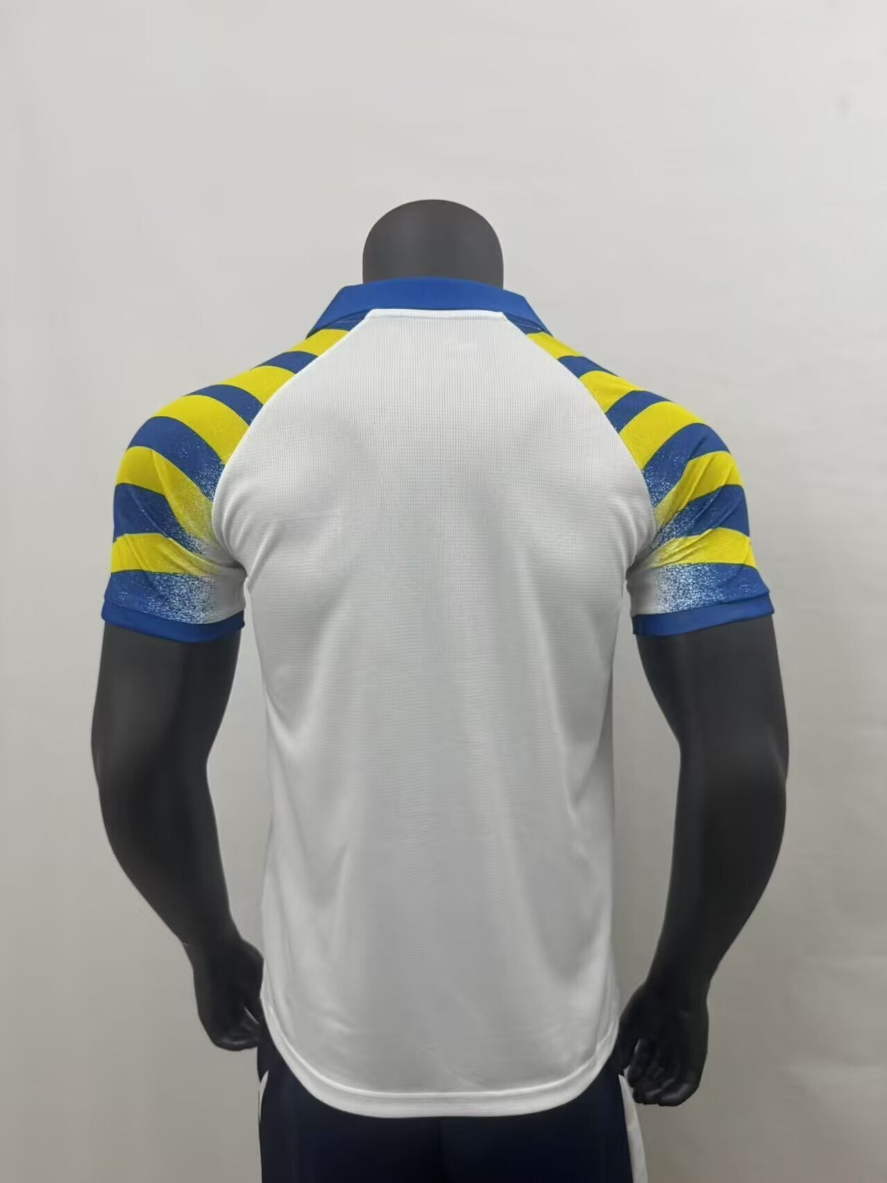 Parma Terza 25/26 - Versione Giocatore